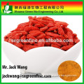 Pharmaceutical&Food grade Wolfberry Fruit Extract/Lycium barbarum Fruit Extract